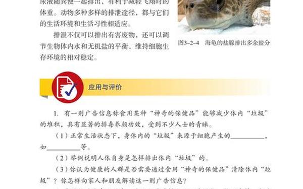 七年级生物下册教案—2025七下生物新教材教案