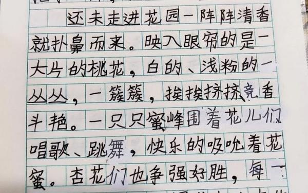 五年级周记大全30篇可抄_抄一篇周记100字
