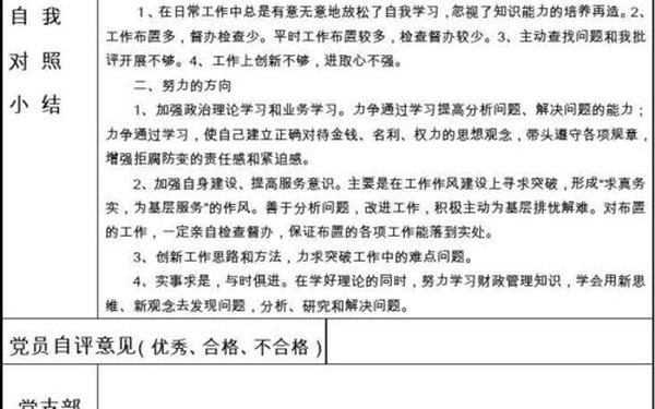党员评议表—民警党员民主评议表