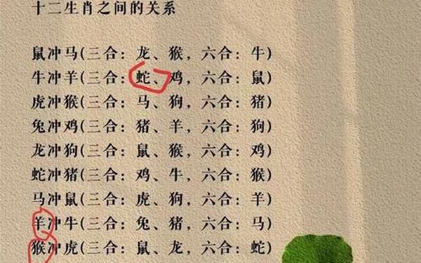 合家欢乐双燕齐飞(合家欢乐开过什么生肖)