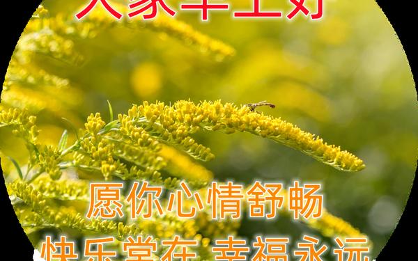 春天的句子短句;春回大地早上好的句子