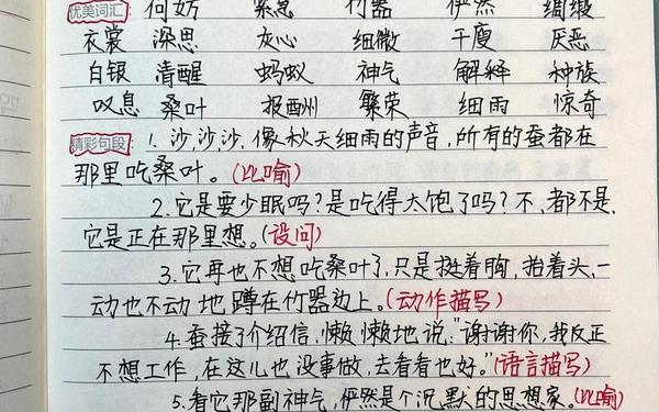 小学生读书笔记摘抄大全—白夜行读书笔记好词好句及感悟图片