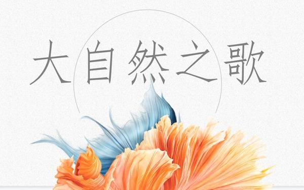 大自然之歌(大自然家居之歌歌词)