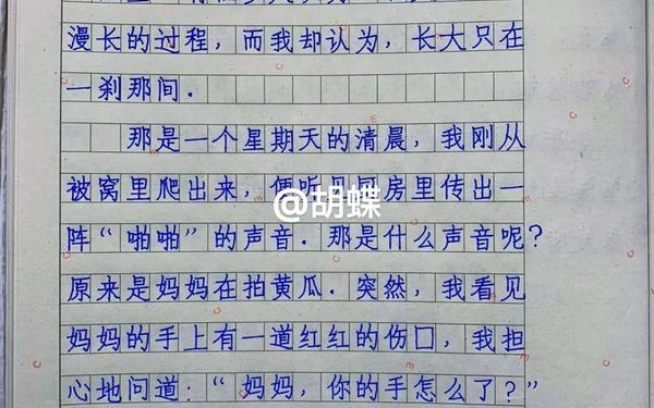 五年级上册作文第一单元,作文《那一刻,我长大了》