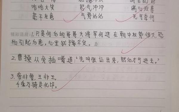 三国演义的读书笔记摘抄 三国演义100图片