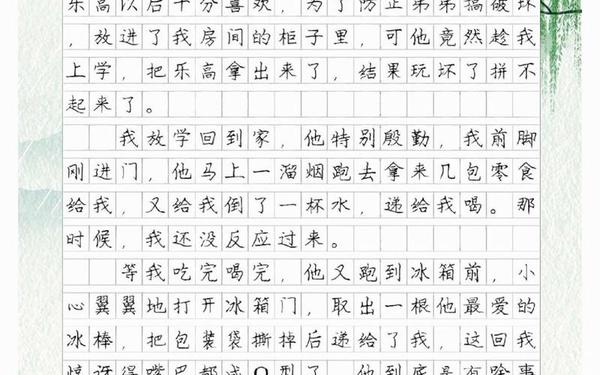 小学生写人作文(写人的作文100字)