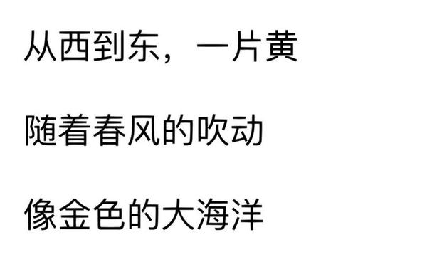 植物的现代诗歌;植物现代诗(短)