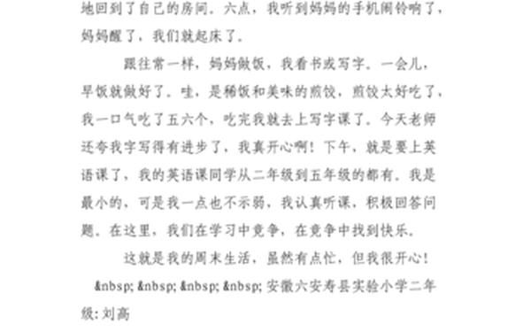 周末趣事日记300字-周末作文300字