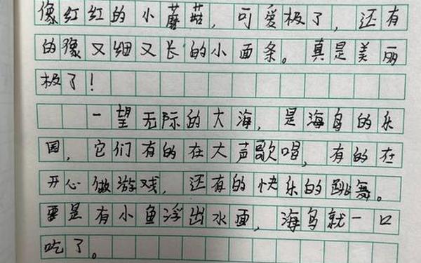 富饶的西沙群岛课后四幅图写小练笔(富饶的西沙群岛仿写四幅图)