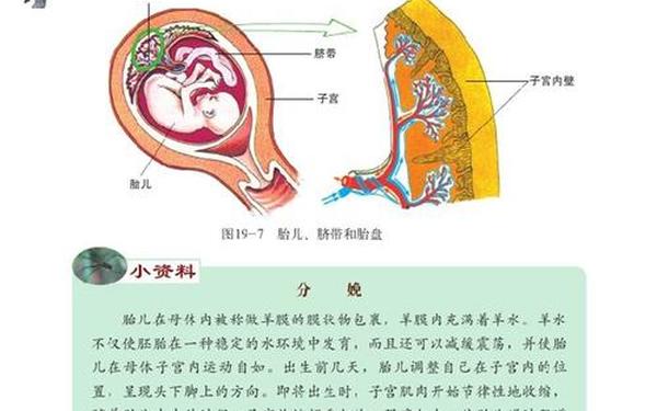 初二生物有多尴尬(生物书上女性的图片)