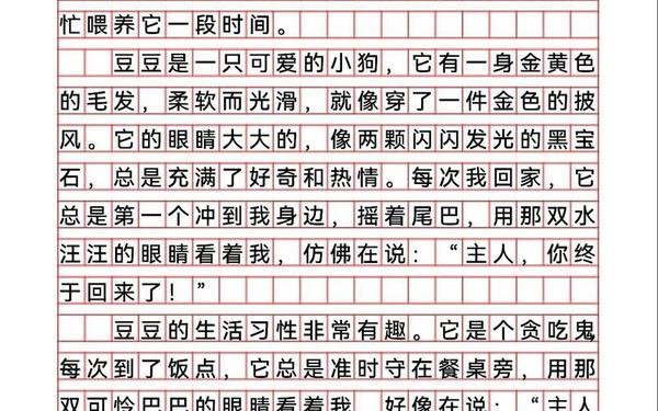 四年级范文《我的动物朋友》,4年级作文我的动物朋友