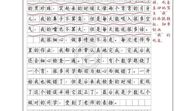 三年级所有作文;2025我的第一篇作文怎么写