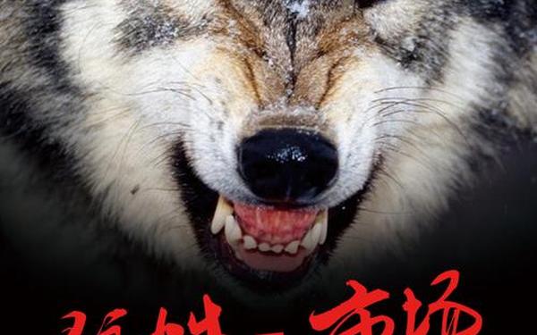 狼性团队培训;狼性团队是谁提出来的