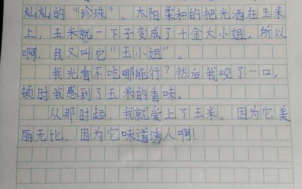 简单的一天日记 日记20个字