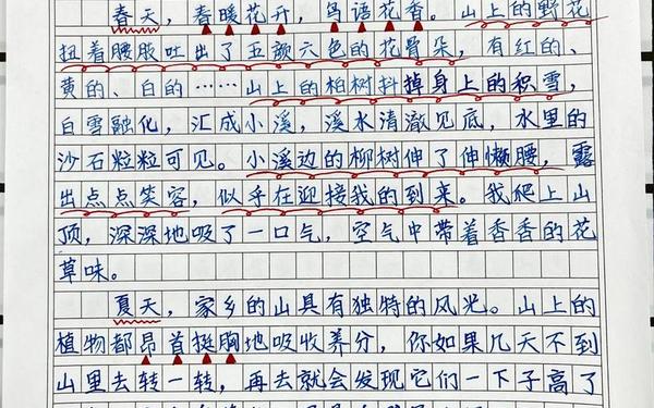 四年级上册语文作文推荐一个好地方(小学生0分作文笑疯了)