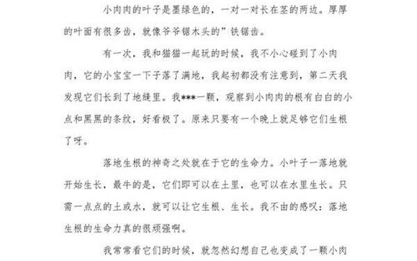 肉多的小作文;肉肉的作文300字