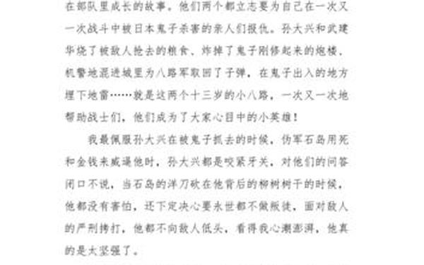 两个小八路读后感(两个小八路读后感600字作文)