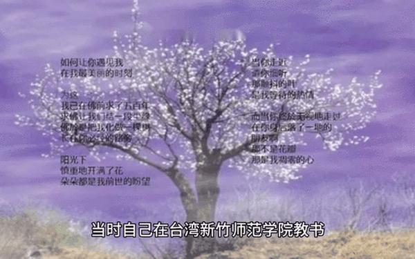 席慕容散文《独白》_席慕容散文《一棵开花的树》