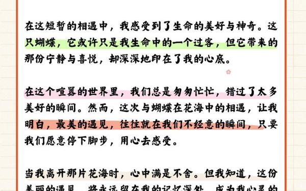 爱情的文章要感人的(散文《最美的遇见》)