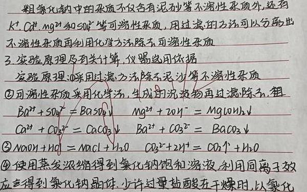 化学实验报告模板;化学实验结论怎么写