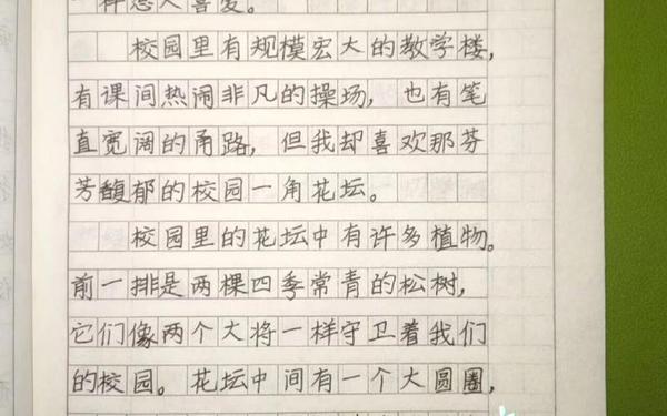 我们的学校作文三年级 小学生作文300字三年级