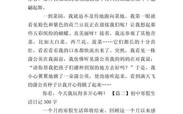 日记300字寒假 寒假日记300字大全