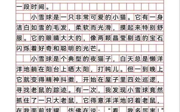 我的动物朋友一一小猫、小猫50字作文