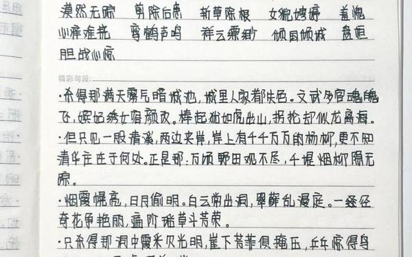 读书笔记分为哪四种_读书笔记有哪几种形式