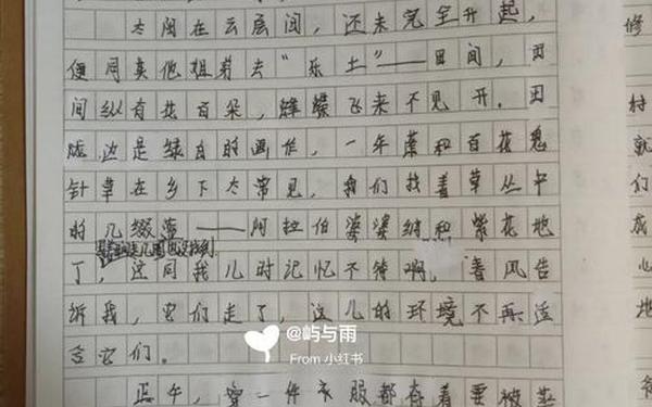 700字作文;范文700字抄写