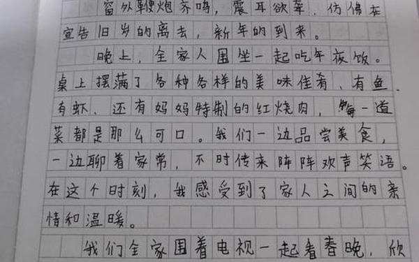 五年级作文二十年后回故乡_关于除夕的题记