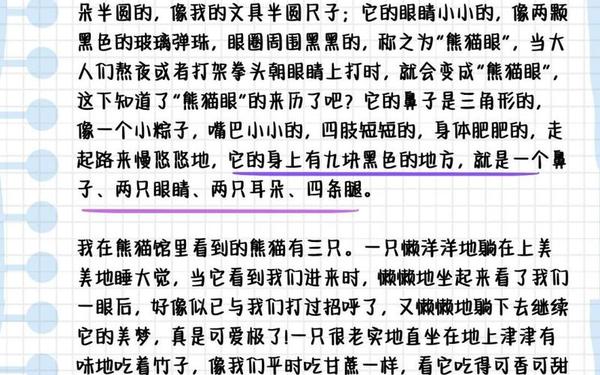 关于熊猫的作文-大熊猫生活在哪儿