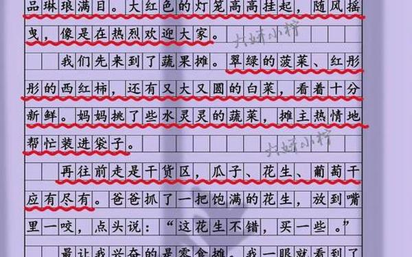 买年货的作文—买年货作文300字