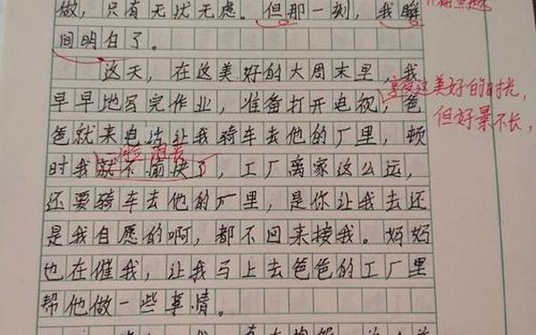 我懂得了____为题目作文—《我懂得了______》400字