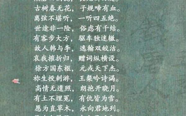 席慕容《友谊》—席慕容友谊原文