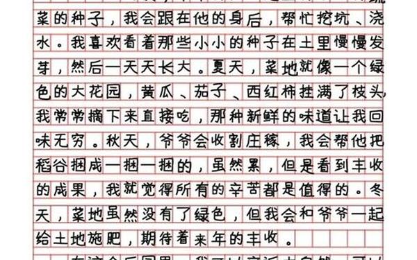 优秀400字作文_400字可抄免费