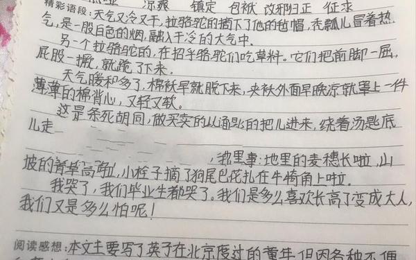 城南旧事读书笔记摘抄,《城南旧事》精彩句段