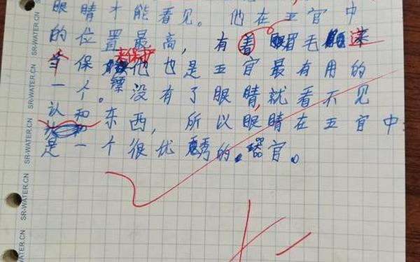 五官选一个写小练笔,写五官的小练笔50字
