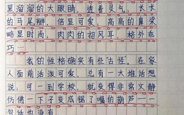 我的自画像400字优秀作文_描写人物外貌的作文