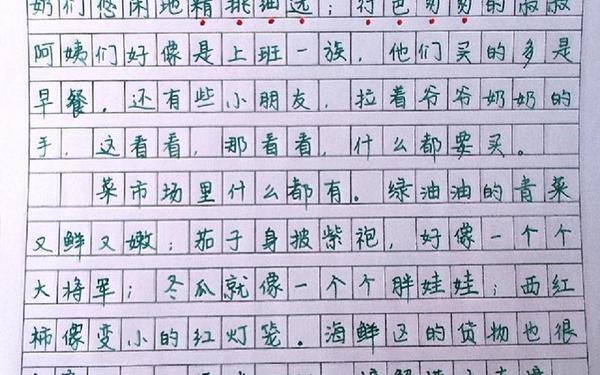 小学生作文100篇-三年级作文100篇可抄