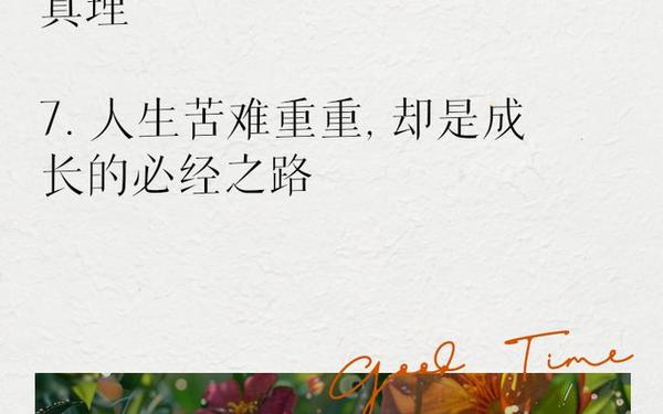 24句经典人生感悟句子(经典人生感悟句子短语)