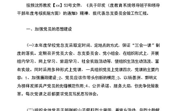 党支部工作总结范文-党支部组织生活总结汇报