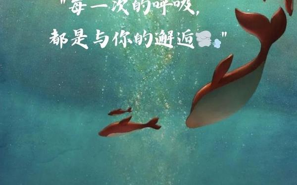 大鱼海棠经典台词;大鱼海棠最火的句子