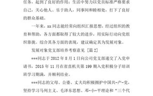 党支部考察意见简短(党支部评语20字)