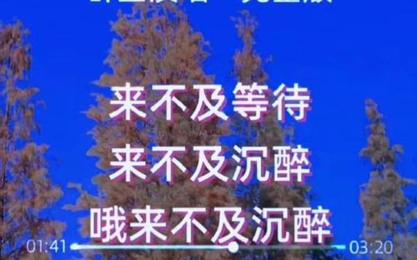 二十年后在相会(再过二十年,我们来相会)