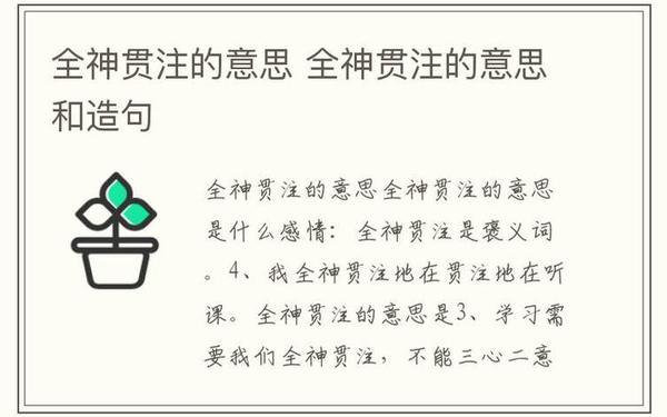 全神贯注近义词(全神贯注最佳替代词)