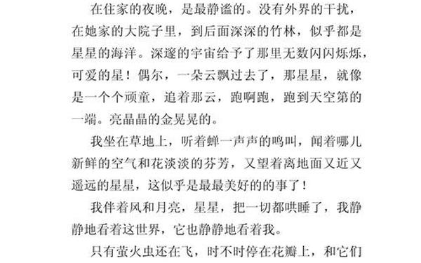 有关乐趣的作文(乐趣作文450字)