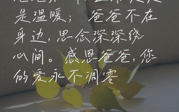 感恩父亲的句子_感恩父亲的经典语录