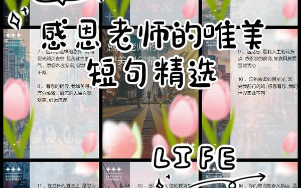 教师节感恩句子-感恩老师的优美句子