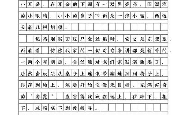 我的心爱之物作文300字,自己喜欢的动物作文300字