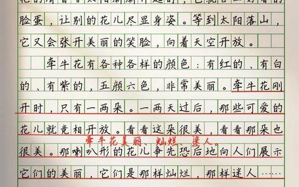 关于花的作文;花的作文350字
